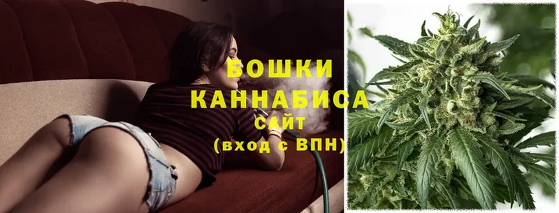 Бошки марихуана White Widow  Качканар 